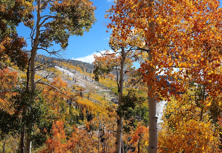 fall snow hike on the mountain Steamboat, Colorado, September, 2016